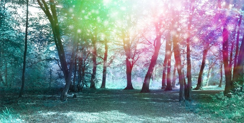 Rainbow Forest