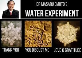 dr emoto good and bad energy effects